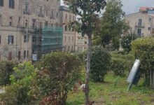 Photo of Enna, 50mila euro dalla Regione per la rigenerazione verde di Villa Torre di Federico
