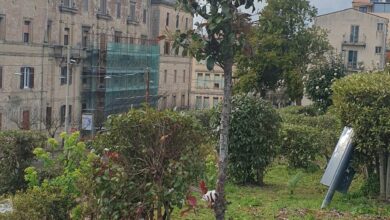 Photo of Enna, 50mila euro dalla Regione per la rigenerazione verde di Villa Torre di Federico