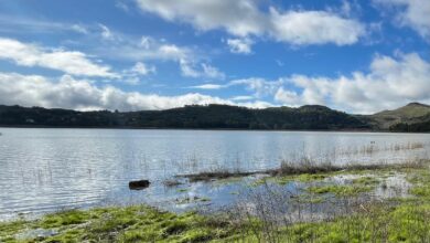 Photo of Lago di Pergusa sorvegliato speciale sulla biodiversità