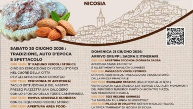Photo of Nicosia (En). al via la sagra del Nocattolo. In corsa per il Guinness World Record