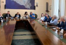 Photo of Enna, Conferenza dei Sindaci sulla sanità. Discusse le linee guida per ampliare l’offerta formativa