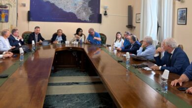 Photo of Enna, Conferenza dei Sindaci sulla sanità. Discusse le linee guida per ampliare l’offerta formativa