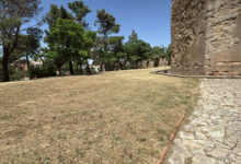 Photo of Enna, al via il piano di manutenzione del verde e di decoro urbano