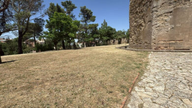 Photo of Enna, al via il piano di manutenzione del verde e di decoro urbano