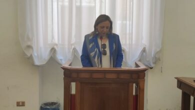 Photo of Enna, Consiglio provinciale. Si dimette la consigliera dell’MPA Filippa D’Angelo