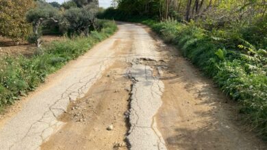 Photo of Non solo Autodromo: Pergusa aspetta manutenzione, sicurezza e decoro