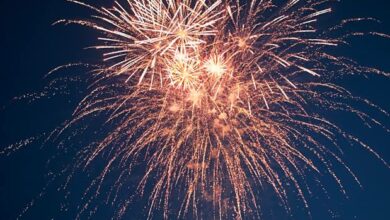 Photo of Festa della Patrona, il piano di viabilità e sicurezza per l’1, 2 e 19 luglio