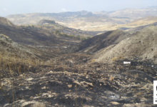 Photo of Ancora gravi incendi nell’ennese, il WWF Sicilia Centrale denuncia al Prefetto un’illegalita’ diffusa, tra omessi controlli e palesi violazioni delle prescrizioni antincendio