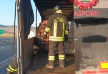 Photo of Incendio nella A19