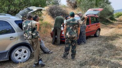 Photo of Caccia, appello del WWF alle Autorità: «Nell’Ennese si spara in un contesto di sostanziale impunità»