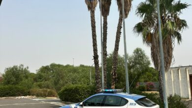 Photo of A19, un cane di grossa taglia aggredisce la proprietaria: intervento della Polizia di Stato