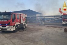 Photo of Vigili del Fuoco di Enna: maxi intervento a Piazza Armerina per l’incendio di un complesso avicolo. Distrutti tre capannoni e oltre 300mila capi