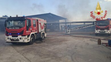 Photo of Vigili del Fuoco di Enna: maxi intervento a Piazza Armerina per l’incendio di un complesso avicolo. Distrutti tre capannoni e oltre 300mila capi