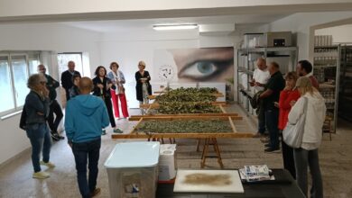 Photo of Kore Siciliae porta i buyer internazionali alla scoperta del cuore della Sicilia